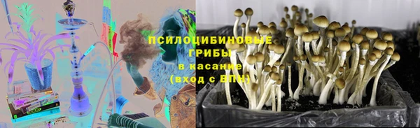 прущий лед Верея
