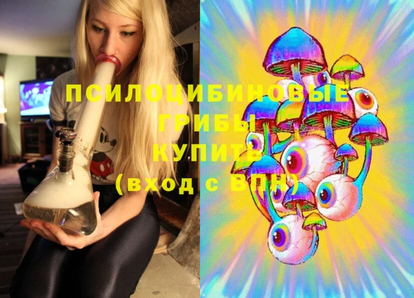 прущий лед Верея