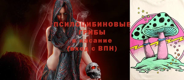 сатива Верхнеуральск