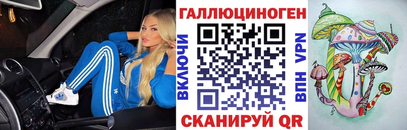Галлюциногенные грибы мицелий  где можно купить наркотик  Курган 