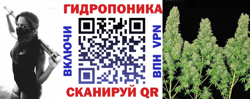 Бошки марихуана SATIVA & INDICA  hydra ССЫЛКА  Курган  как найти закладки 